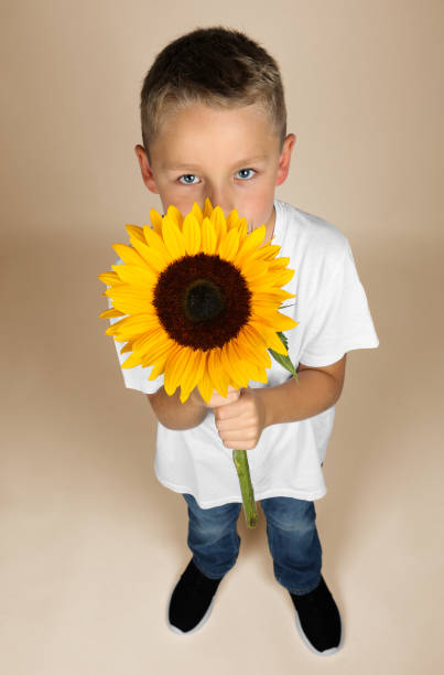istock little blond boy is hiding behind a sunflower in his hand 888243886
