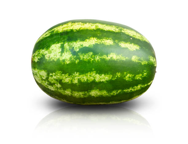 Whole watermelon isolated on white background Image of whole watermelon with green stripes on melon skin water balls for plants pictures stock pictures, royalty-free photos & images