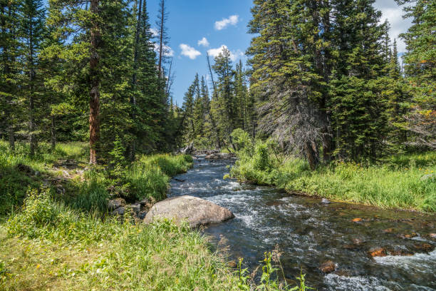 St. Vrain Creek is a tributary of the South Platte River, approximately 32.2 miles (51.8 km) long, in north central Colorado in the United States. It drains part of the foothills north of Boulder and the Colorado Piedmont area in the vicinity of Longmont.