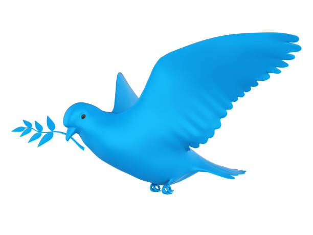 Dove of Peace isolated on white background. 3D render