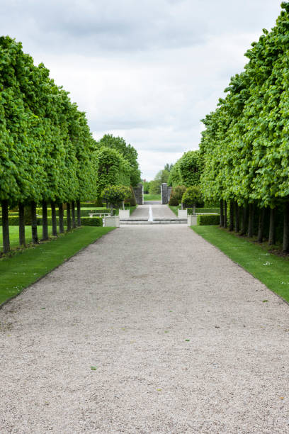 istock Path through a Park in Dublin, Ireland 888273858