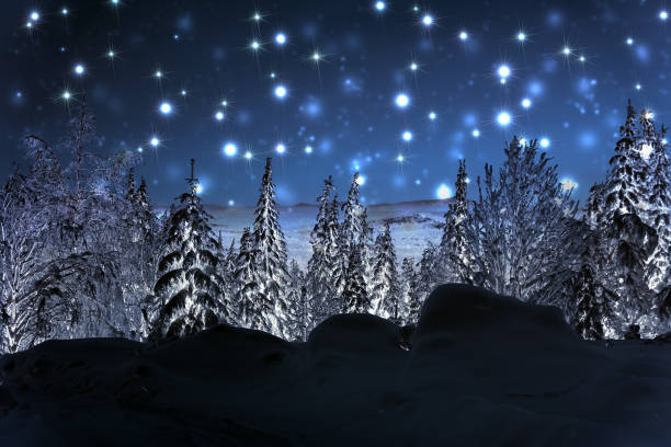 istock Winter night landscape. Spruce forest in winter 888297512