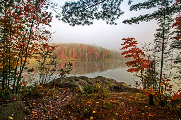 istock Small Lake North Eastern Ontario with fog 888302994