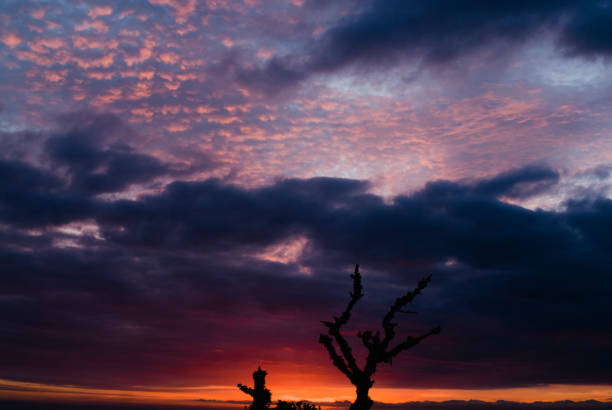 Sunrise in Brazil