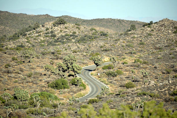 A snapshot of a road that winds its way through the landscape at Joshua Tree National Park in Southern California.