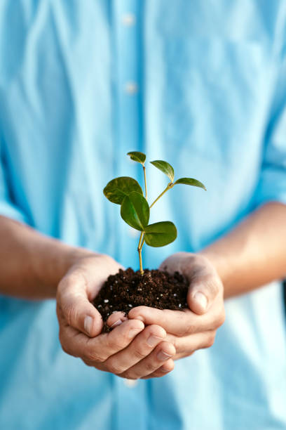 istock Your future will thank you for it 888343274