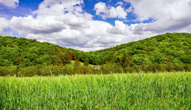 Deilbachtal, Germany