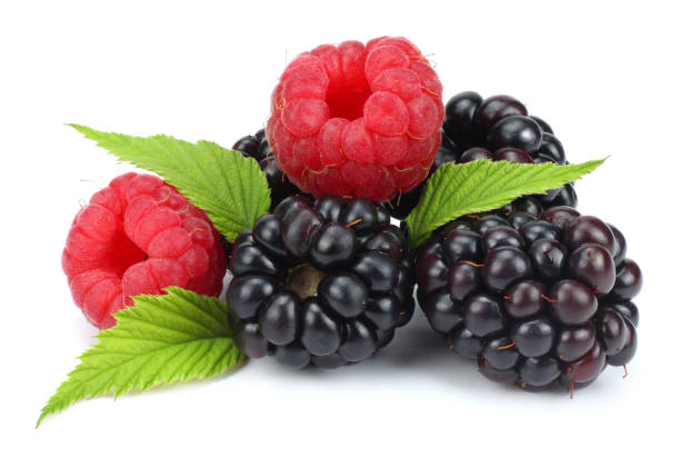 istock blackberries with raspberries and green leaf isolated on white background. macro 888347040