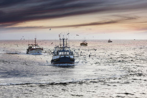 heimkehr: müde fishermans schiffe nähert sich nach einem anstrengenden tag, le guilvinec, bretagne, frankreich - fischereiindustrie stock-fotos und bilder