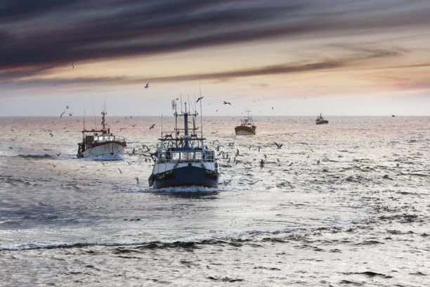 boas-vindas: cansado de fishermans barcos aproximarem-se após um dia duro, le guilvinec, brittany, frança - trawler - fotografias e filmes do acervo