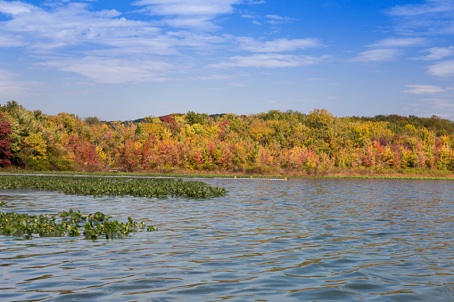 Landscape with Trees in Autumn Colors (Foliage), Water and Blue Sky at Rockland Lake State Park, Hudson Valley, New York. Canon EOS 6D (full frame sensor). Polarizing filter.
