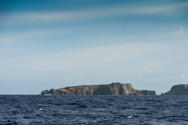 istock Fernando De Noronha - Brazil (Rata Island) 888358370