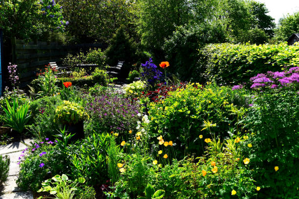 istock Scottish country garden in Spring 888374766