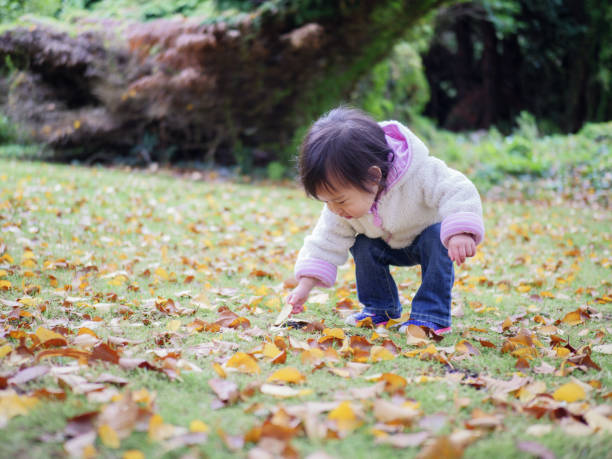 istock Baby girl playing at Autumn forest 888381382