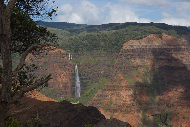istock Waimea Canyon 2017 F 888381518