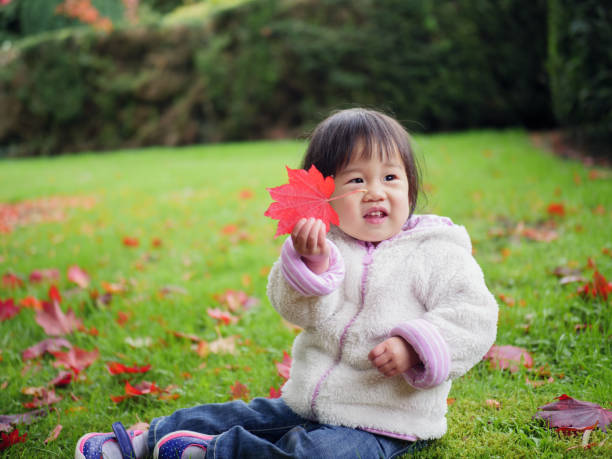 istock Baby girl playing at Autumn forest 888381812