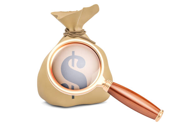 istock Dollar bag with magnifier, 3D rendering isolated on white background 888387566