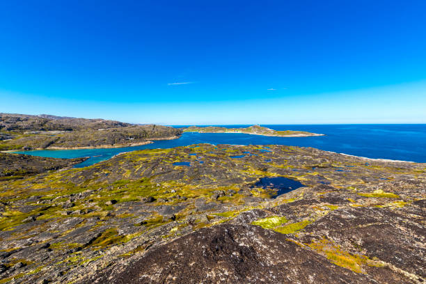 istock Beautiful arctic summer landscape on Barents sea 888395246
