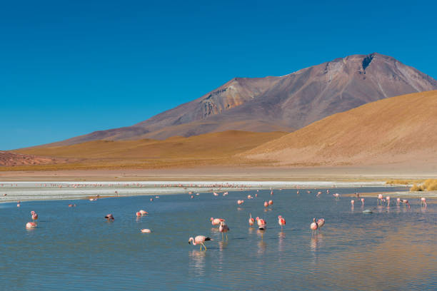 istock Bolivian Landscape 888398210