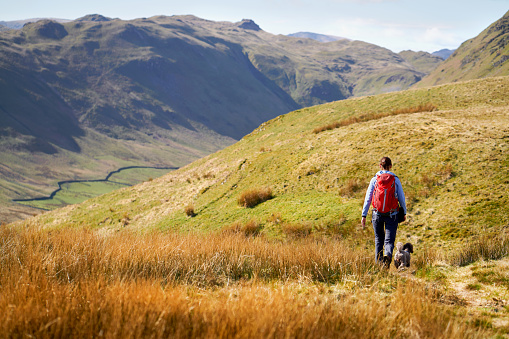 A hiker and their dog walking along Low Moss Gill below the summits of Place Fell and High Dodd in the Lake District, UK.