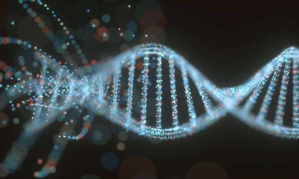 dna の分子構造 - human rna ストックフォトと画像