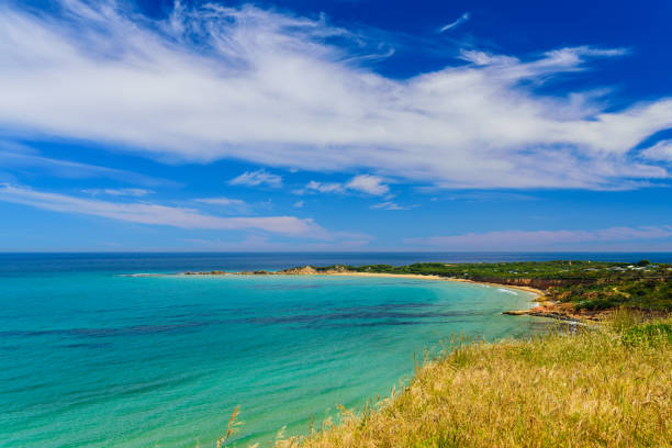 istock View of the ocean at Anglesea, Australia 888403344
