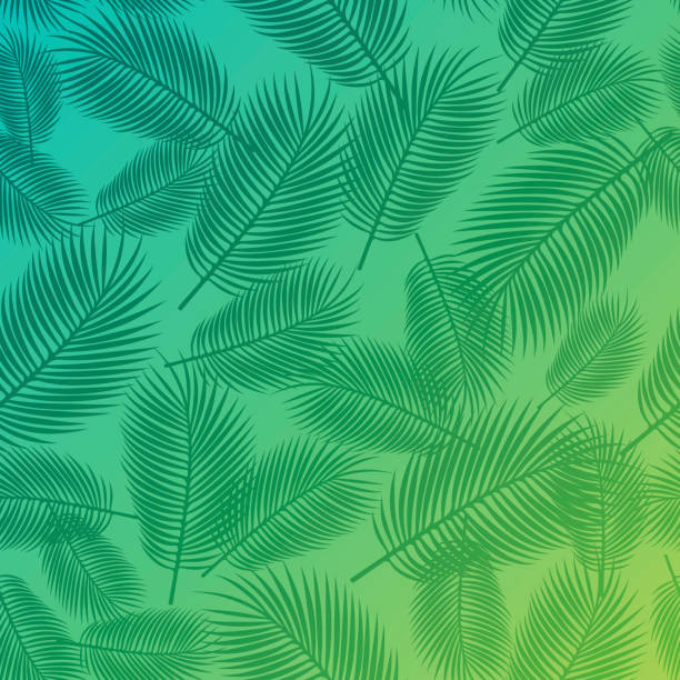 illustrations, cliparts, dessins animés et icônes de palm fond de - palm leaf frond leaf backgrounds