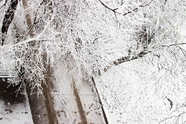 istock Top view of the road in winter 888415520