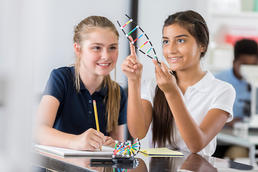 Confident STEM junior high school girls examine a DNA helix model. One of the students is pointing to something on the helix. The other student is taking notes in a spiral notebook.