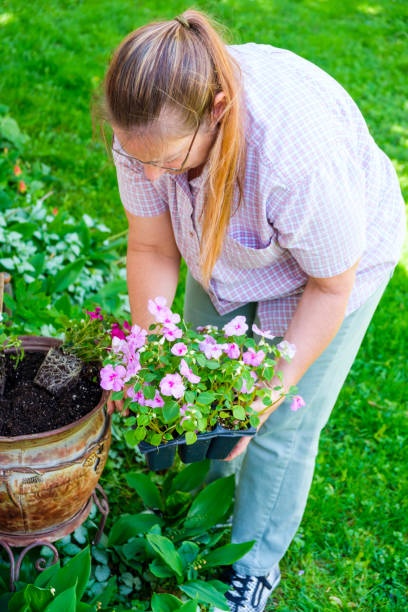 istock Mature Woman Working In Her Garden 888438594