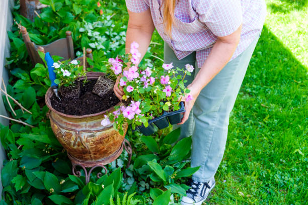 istock Mature Woman Working In Her Garden 888438596