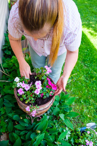 istock Mature Woman Working In Her Garden 888439248