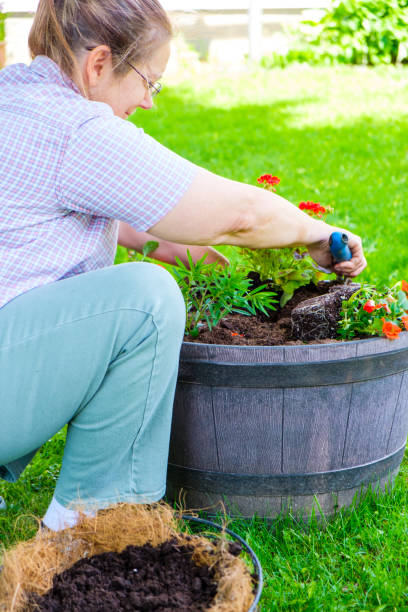 istock Mature Woman Working In Her Garden 888439790