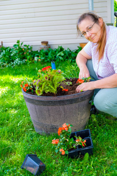 istock Mature Woman Working In Her Garden 888439798