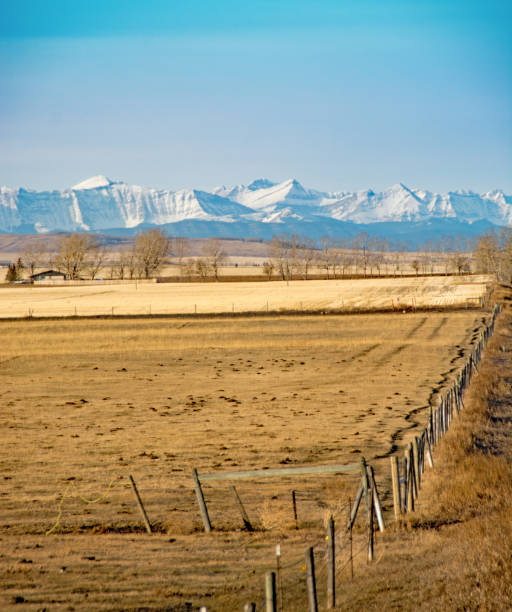 istock Prairie view with Rocky Mountains in the  background 888445602