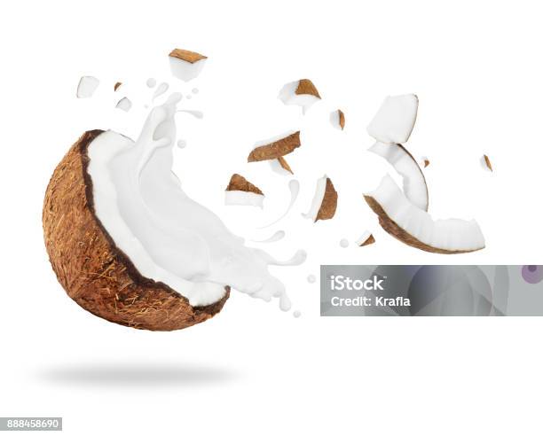 Broken Coconut With Milk Splash Isolated On White Background Stock Photo - Download Image Now