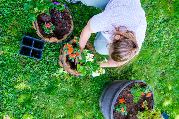istock Mature Woman Working In Her Garden 888470170