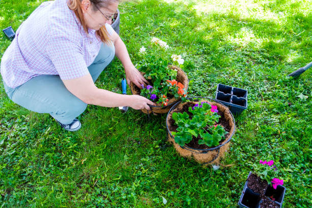 istock Mature Woman Working In Her Garden 888470190