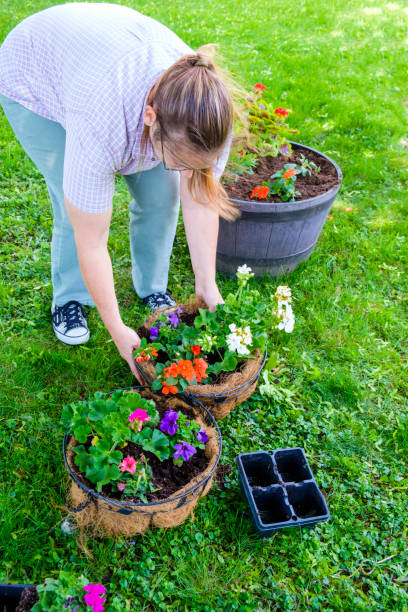 istock Mature Woman Working In Her Garden 888470246
