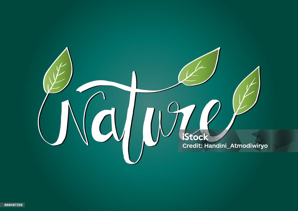 Nature Inspired Lettering Nature Lettering Hand Drawn Stock Illustration - Download Image Now ...
