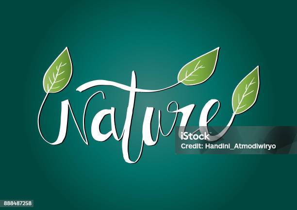 Naturalism Lettering Nature Lettering Hand Drawn Stock Illustration - Download Image Now ...