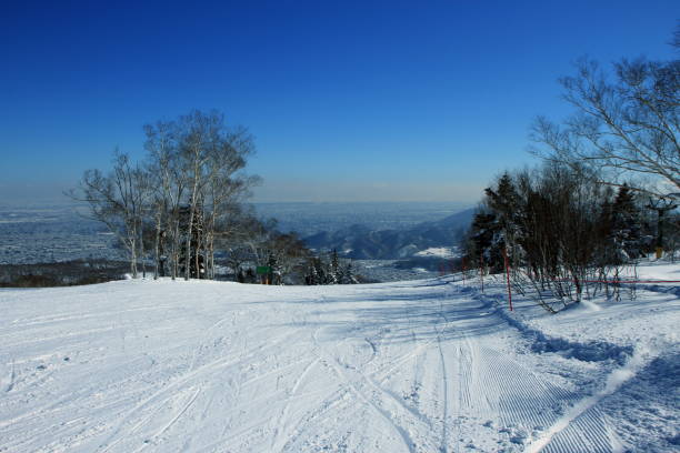 istock Winter summit of Hokkaido 888487492