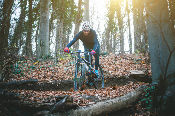 istock Cyclist riding bicycle down through woodland 888497992