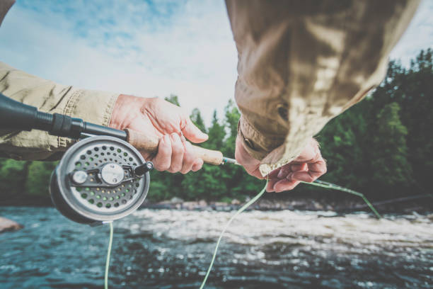 POV Senior Man Fisherman Fly Fishing in A River Point of view Senior Man Fisherman Fly Fishing in A River in summer season in Jacques-Cartier River, Quebec, Canada trout photos stock pictures, royalty-free photos & images