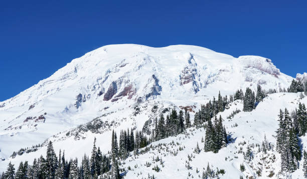 istock Mt. Rainier National Park In Winter 888511358