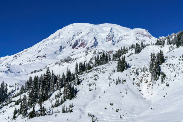istock Mt. Rainier National Park In Winter 888511496