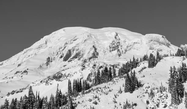 istock Mt. Rainier National Park In Winter 888511506