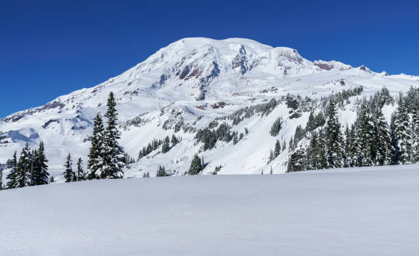 istock Mt. Rainier National Park In Winter 888511510