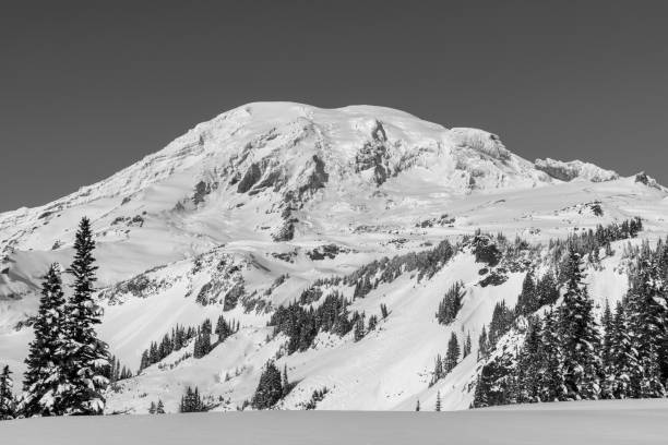 istock Mt. Rainier National Park In Winter 888511676