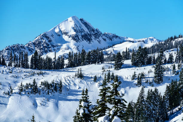 istock Mt. Rainier National Park In Winter 888514178